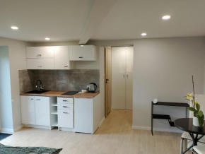 Apartament z ogrodem